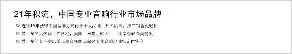 21年积淀,中国专业音响行业市场品牌 21年积淀,中国专业音响行业市场品牌
